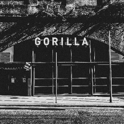 thisisgorilla Profile Picture