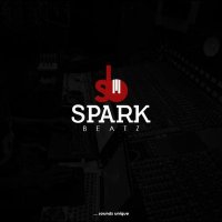 SPARKBEATZ(@sparkbeatz) 's Twitter Profile Photo