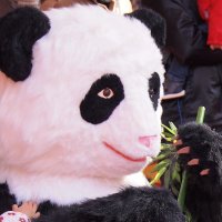 日本大学 文理学部 中国語中国文化学科（非公式） (@n1zymp2mg98adez) 's Twitter Profile Photo