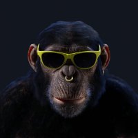 Cardano Apes | Jungle Beasts(@ApesCardano) 's Twitter Profile Photo