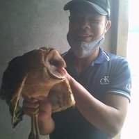 Guy Marina ❤️ Memecoin (@guymarina1) 's Twitter Profile