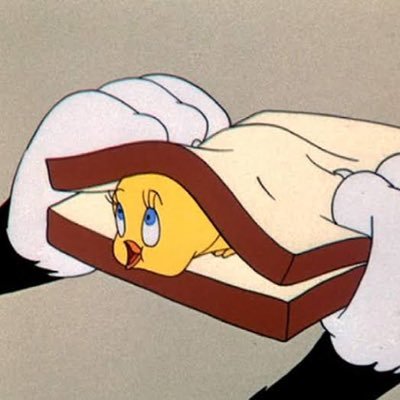 msw_ym's profile picture. 医療ソーシャルワーカー（社会福祉士）🌿よろしくおねがいします。