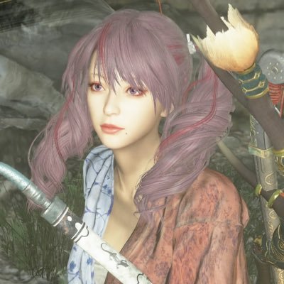 ディビジョン2/デモンズソウル/ワイルドハーツ/MHRSB(Switch)/ELDEN RING/Bloodborne/ダークソウル1.2.3/仁王2/MHWIB/GE3/討鬼伝極と2 無言フォロー失礼致します!