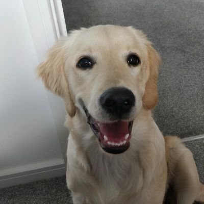 MissIY6SPA's profile picture. Year 4 at SPA. PE subject lead.