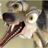 CruelAvenger's profile image