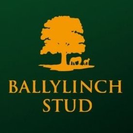 BallylinchStud Profile Picture