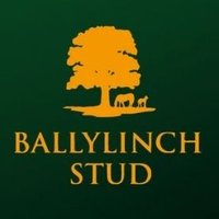 BallylinchStud(@BallylinchStud) 's Twitter Profileg