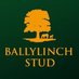 BallylinchStud (@ballylinchstud) Twitter profile photo BallylinchStud (@ballylinchstud) Twitter profile photo