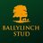 BallylinchStud