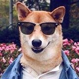 Duke Kori ❤️ Memecoin (@dukekori1) 's Twitter Profile