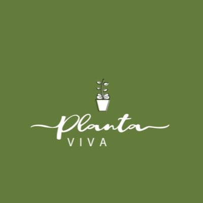 ENVIAMOS FLORES en Ciudad de México. EVENTOS Flores a domicilio Pedidos: ventas@plantaviva.com.mx WA 5573612577