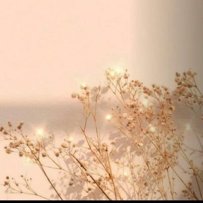 ZuhalAktrk3's profile picture. 