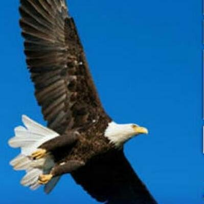 ikhsan44064556's profile picture. 