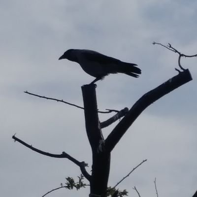 Gmbit3's profile picture. other life