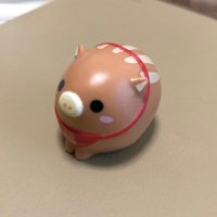しまうま (@smsmzebra) 's Twitter Profile