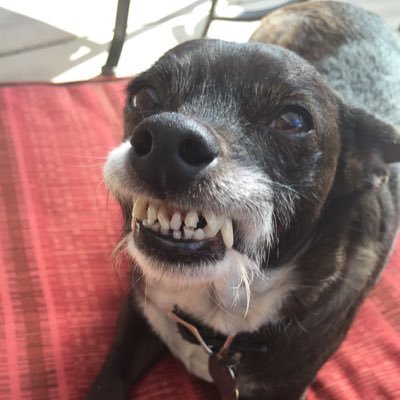 SickoftheCrap Profile