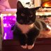 Catlady628 (@catlady628) Twitter profile photo Catlady628 (@catlady628) Twitter profile photo