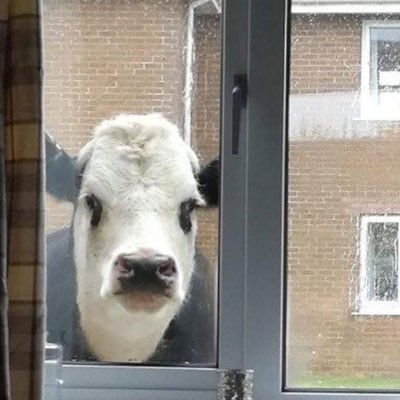 2soon2lose's profile picture. sometimes, just sometimes