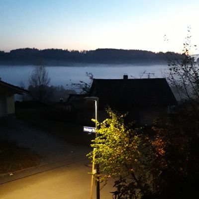 Der falsch Verstandene