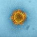 PHELN Public Health Ethics & Law Research Network (@pheln2) Twitter profile photo PHELN Public Health Ethics & Law Research Network (@pheln2) Twitter profile photo