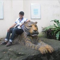 Mcclure Luz ❤️ Memecoin (@mcclureluz1) 's Twitter Profile