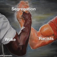 Leftists Being Bigots Online (@libbigots) 's Twitter Profile