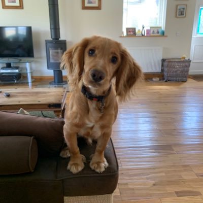 retiredGlosCI's profile picture. Personal views of a retired officer. A more enthusiastic than talented cyclist and cricketer living in the Cotswolds. Policing, Senior Lecturer in Policing.