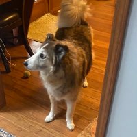 graem (@gstickann) 's Twitter Profile