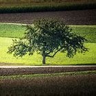 NEWSREACT3's profile picture. 