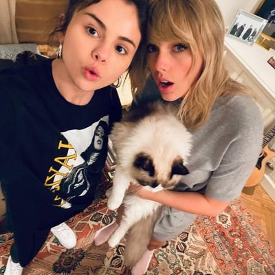 Dedicated Super fan - Taylor, Xtina, Ariana & Selena #Swiftie #Fighter #Selenator #LGBTQ+