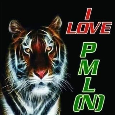 Politicians PMLN I Love You Mian Nawaz Sharif Saab Zindabad I love PMLN Al party Leadership & Workers Latifabad Zila Hyd Sindh Social Media Coonediter PMLN 🦁🐯