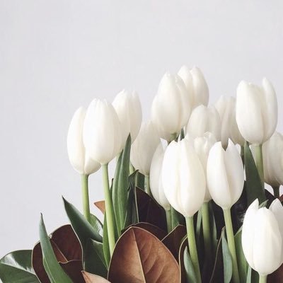 eliiifsafak's profile picture.