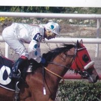 AtlarVeNallar (@atlarvenallar) Twitter profile photo