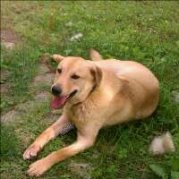 thebolton's profile picture. 