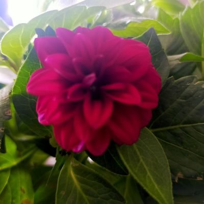 akgul_muzeyyen's profile picture. Artvin AK Parti Kadın Kolları
Tanıtım Medya Başkanı