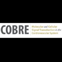 UNR Cardiovascular COBRE (@cobreunr) 's Twitter Profile
