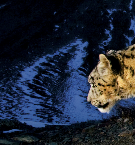 twittoir's profile picture. 正気にかえった