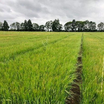 Roberto43126869's profile picture. 