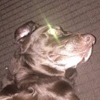 prog rock pond scum (@mincedmeat27) 's Twitter Profile