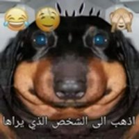 INFORMACION REAL DE PERRO GORDO (@pgfc_ooc) 's Twitter Profile