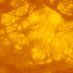 The Slow Voyage (@theslowvoyage) Twitter profile photo The Slow Voyage (@theslowvoyage) Twitter profile photo