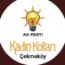 AK Kadın Çekmeköy (@AkkadinCekmekoy) Twitter profile photo