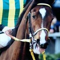 まつだ (@bouz66) 's Twitter Profile Photo まつだ (@bouz66) 's Twitter Profile Photo