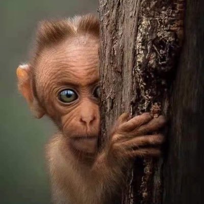 Oliver76912532's profile picture. 我活在世上，无非是想明白一些道理，遇见些有趣的事，倘能如我愿，我的一生就算成功。
