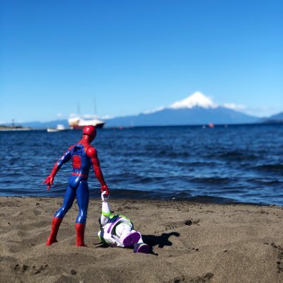 VoltiVendetta's profile picture. Cuando la soberanía (la real) entra en acción, el derecho y todas sus criaturas entran en recesión