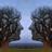 saver1111's profile image