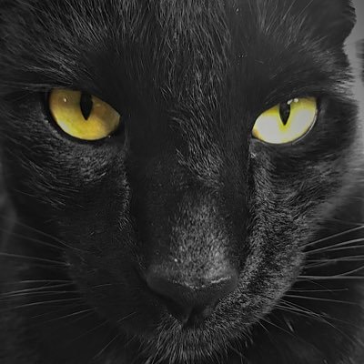 marklise's profile picture. ...