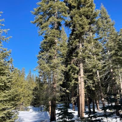 BoFitch's profile picture. 