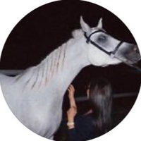 Safiya (@safiyaalmarri) Twitter profile photo