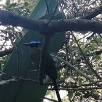 Andrés (@andresbentez6) 's Twitter Profile